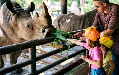 Berlin Tierpark Skip The Line Tickets and Private Transport