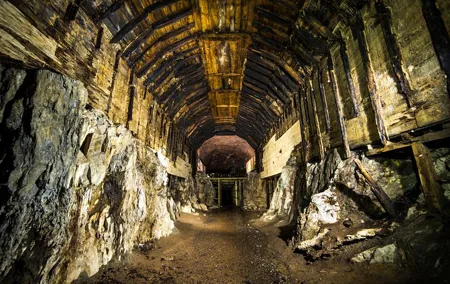 Private Round Trip to Project Riese Including Tickets