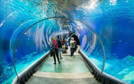 Wroclaw: Zoo with Private Transport and Tickets