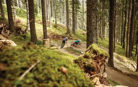 Guided downhill biking at Bikepark Innsbruck