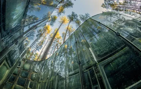 Skip the Line: Europos Parkas, Open-Air Museum Ticket Vilnius, Lithuania