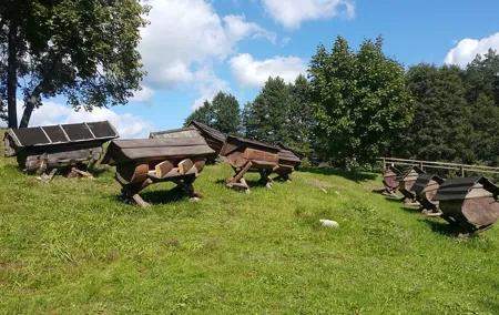 Full-Day Tour to Aukstaitija National Park from Vilnius