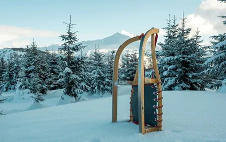 Winter Adventure day in Mountains: 3 km sledge ride