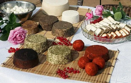 Private day tour from Vilnius to goat Cheese farm and Kernave historical capital