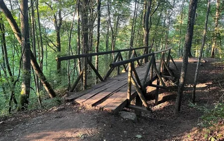 Nature Escape in Regional Park Close to Vilnius