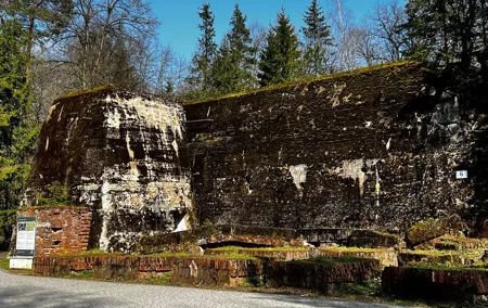 From Vilnius: Private Day Tour to Wolfs Liar (Hitler's bunker)