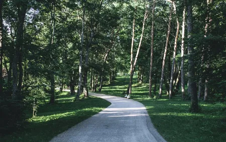 Walking Escape in Trakai National Park