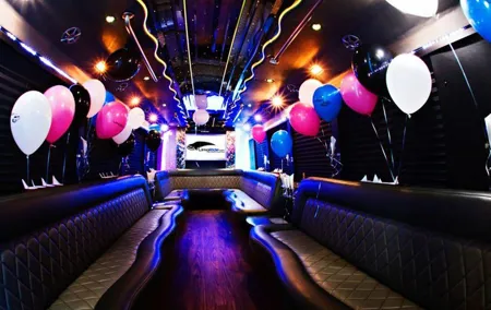 Private tour: Party Bus & Dancer for 3 hours in Vilnius