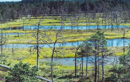 Self guided Walking in the Baltic States in 14 Days