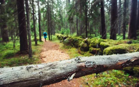 Guided Walking in the Baltic States in 14 Days