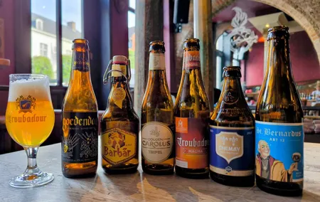 Bruges Beer Tasting Experience (with cheese!)