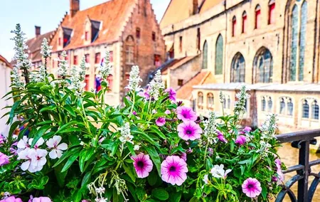 Bruges Tour from Cruise Port and Venice of the North Canal Cruise