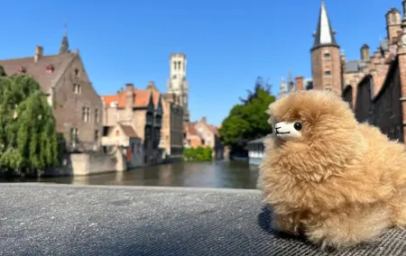 Bruges Walking Tour with Belgian Food Tastings and Private Guide
