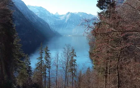 Private Bavarian Alps Tour from Salzburg