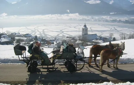 Private Horse-Drawn Sleigh Ride from Salzburg