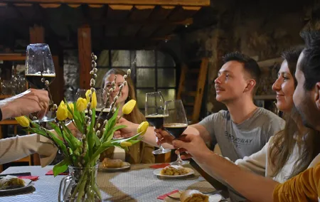 Cheers to Salzburg: Beer &Wine Tasting with local Food Pairing