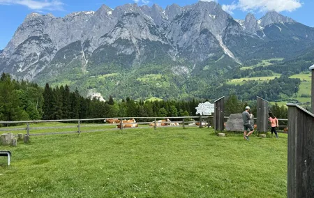 Do-Re-Mi Alpine Tour: Salzburg, Bavarian Alps, and Picnic Meadow