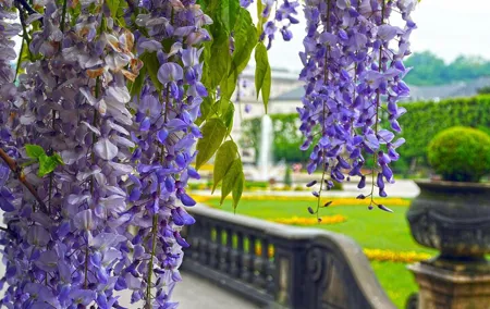 Private tour of the best of Salzburg - Sightseeing, Food & Culture with a local