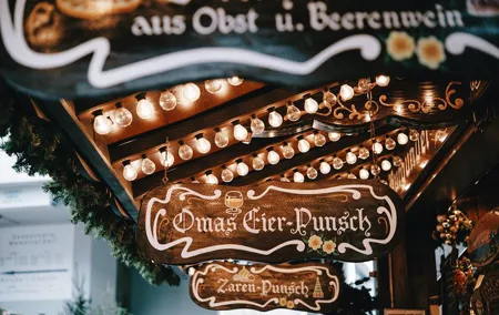 Christmas Private Daytrip - Salzburg to Vienna & back, English Speaking Driver
