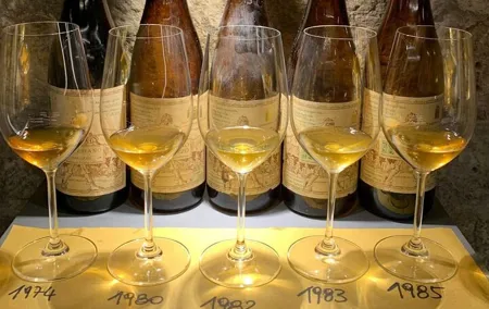 Wine Tasting with Local Bites in Pisa near the Tower