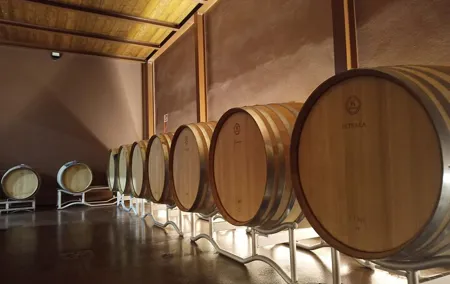 Volterra wines, sensory emotions of organic farming
