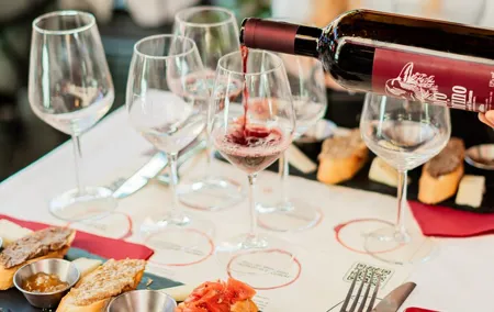 Pisa guided tour and Wine tasting with Leaning Tower ticket