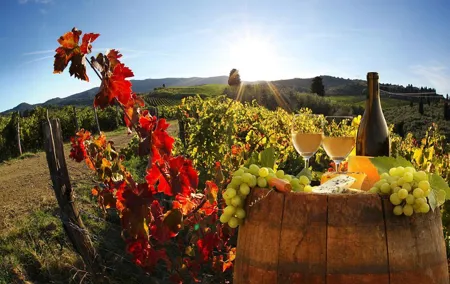 Chianti, SuperTuscan & San Gimignano - 2 wineries and light lunch