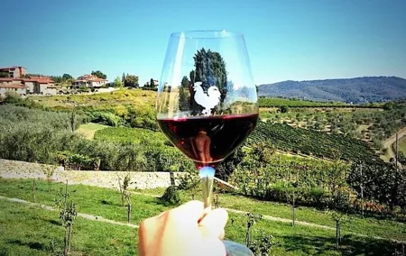 Chianti & Supertuscan Private Tour 2 Wineries with light lunch