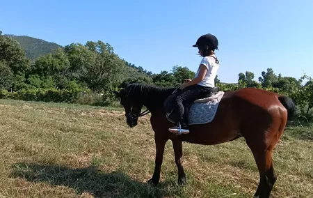 horseback riding for children