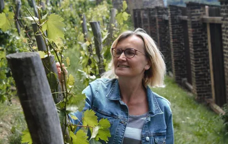 Tour Vysehrad Fortress: Indulge Local Delicacies with a City View