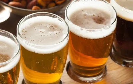 Craft Beer Tour: Try 8 Czech Beers, Brewery and Beer Garden