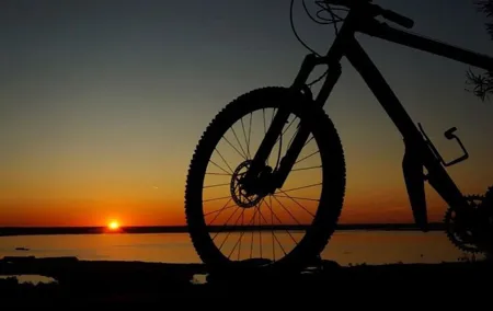 Lake Massaciuccoli Self guided Bike Tour in Pisa