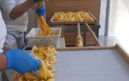 Pasta Factory Tour and Pisa