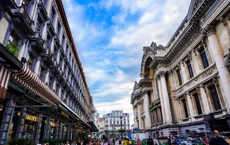 Brussels Private Walking Tour with a Local