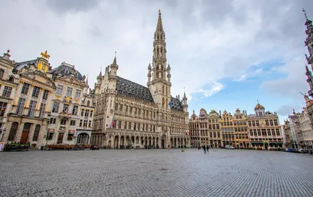 Best Intro tour of Brussels with a Local