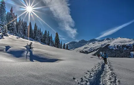 Guided Winter Wonderland Snowshoeing Adventure From Prague