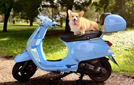 Local Vespa Rental in Prague with GPS Routes & Tips