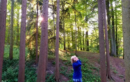 Shinrin Yoku in the Sonian Forest Belgium
