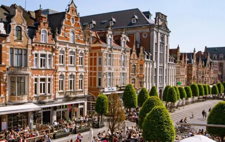 Historical Leuven: Private tour with Local Guide