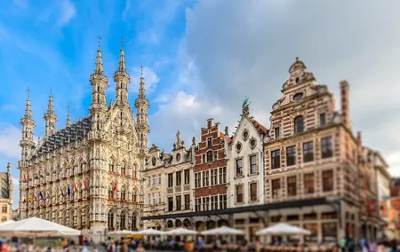 Leuven Private Family Walking Tour: Historic & Botanical Wonders