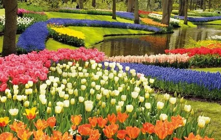 Private Keukenhof & Delft Guided Tour from Brussels Full-Day