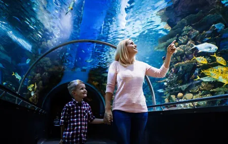 Antalya Aquarium, Wax Museum, Snow World, Wild Park, XD Cinema