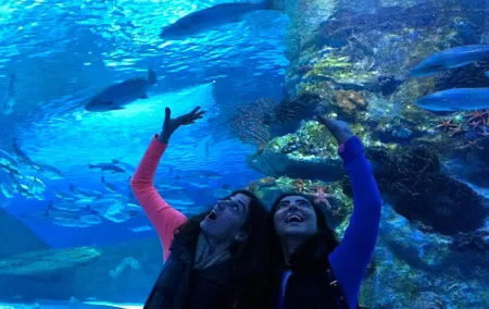 Antalya: Aquarium, Wax Museum, Snow World, Wild Park, XD Cinema
