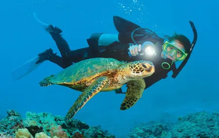 Mediterranean Diving Adventure from Antalya, Kemer