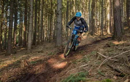 Private Custom Guided Mountain Bike Tour From Prague