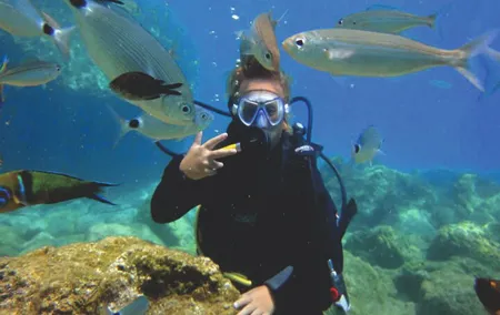 Dive into the blue, start life over again