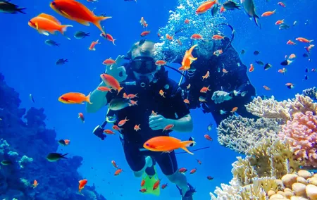 Exciteful Scuba Diving Experience in Antalya