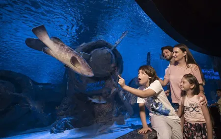 Half Day Antalya Aquarium Tour And Wax Museum