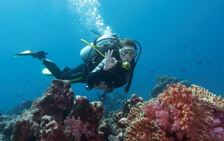 Diving Antalya Kemer
