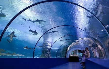 Antalya Aquarium and Face to Face Wax Museum Ticket